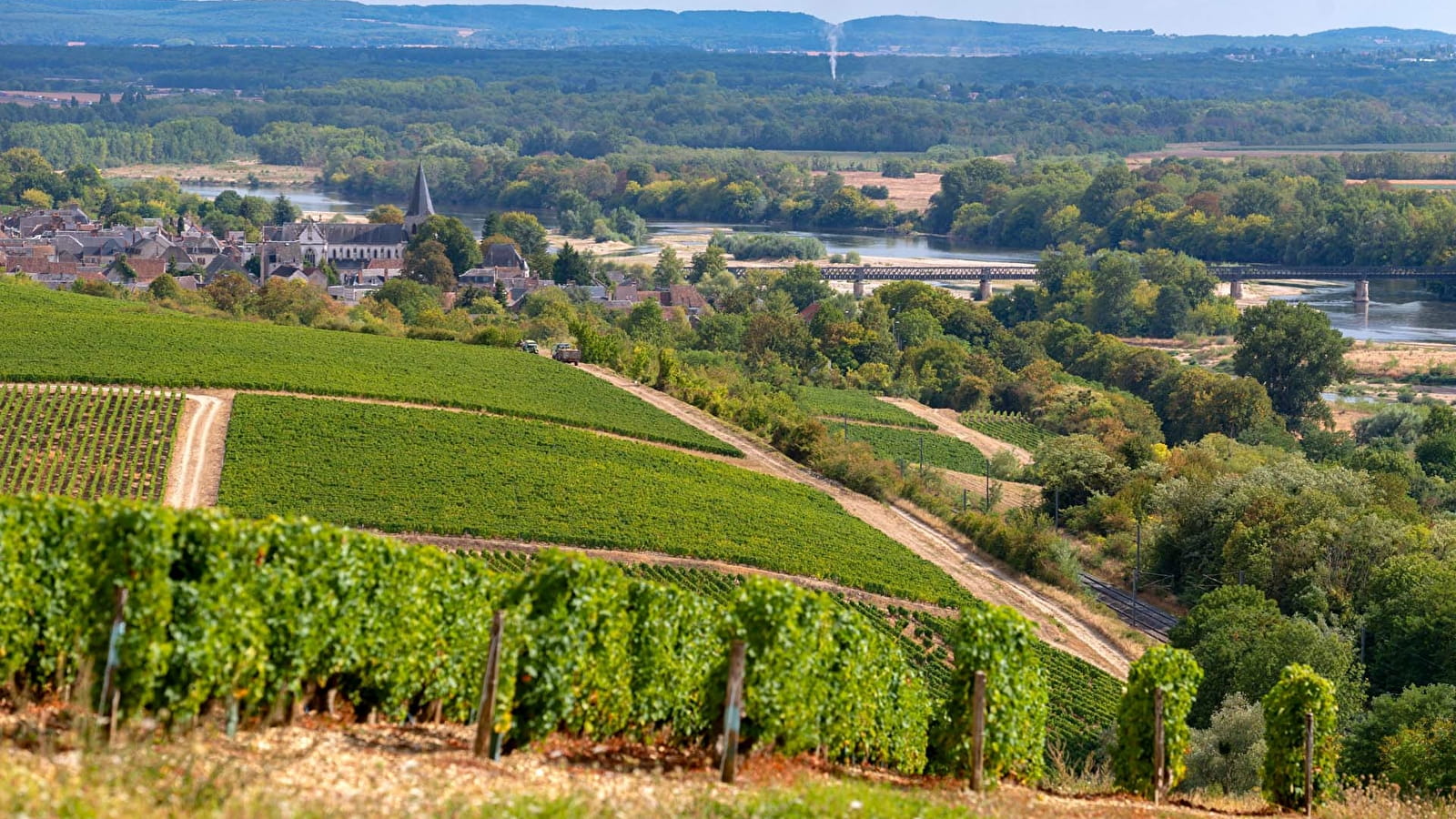 Vignoble de Pouilly sur Loire
