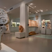 Musée du Pays Châtillonnais-Trésor de Vix