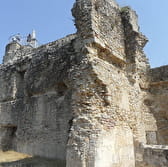 Ruines de l'ancien château de Decize