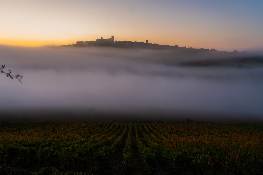 Le lever du jour sur le vignoble de Vézelay