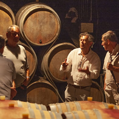 Gevrey Underground : 1 000 ans d'histoire viticole