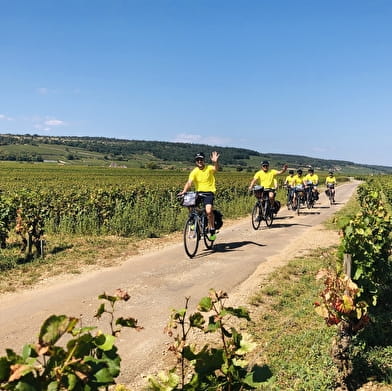 Balade guidée à vélo - Vignobles Auxerre - Escolives - Coulanges 