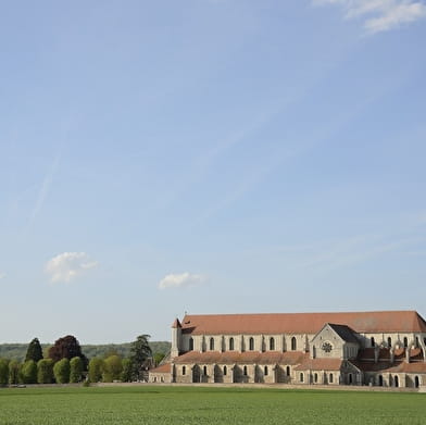L'Abbaye de Pontigny, aux origines du Chablis