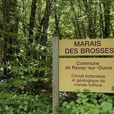 Marais des Brosses