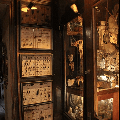 Cabinet de curiosités/musée des Z'Uns Possible
