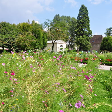 Jardin de l'Arquebuse - Jardin botanique