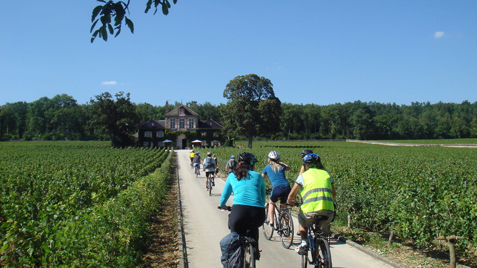 Location vélo : Bourgogne Evasion Beaune by Active Tours
