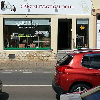 Bar à Lait - GAEC Elevage Galoche