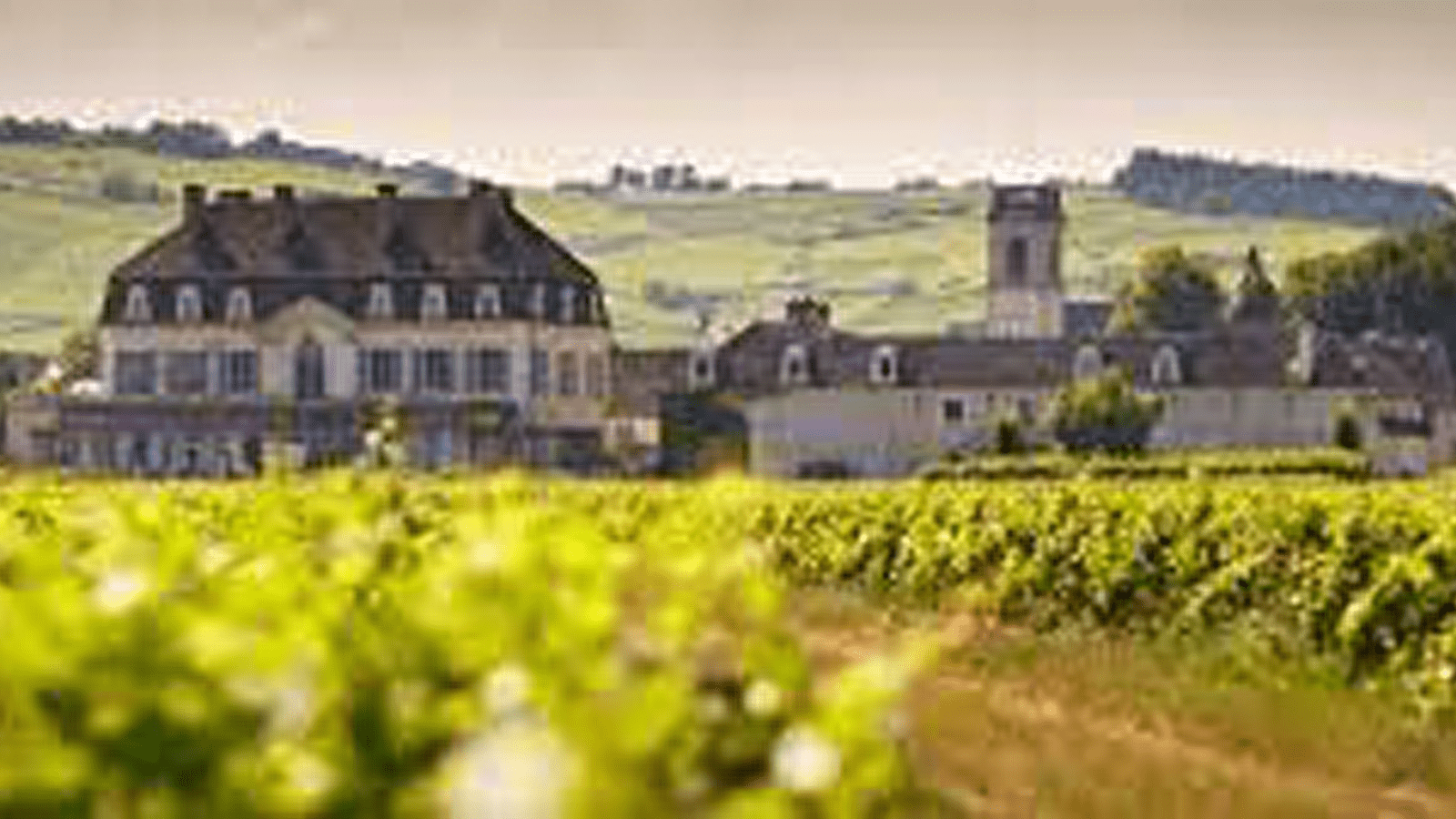 Wine & Break en Bourgogne
