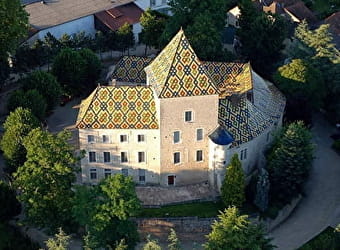 Château Philippe le Hardi - SANTENAY