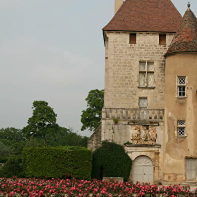 Parc et jardin du Château d'Époisses