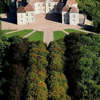 Chateau de Ray-sur-Saône