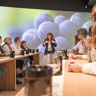 Ecole des Vins de Bourgogne - Ateliers de dégustation