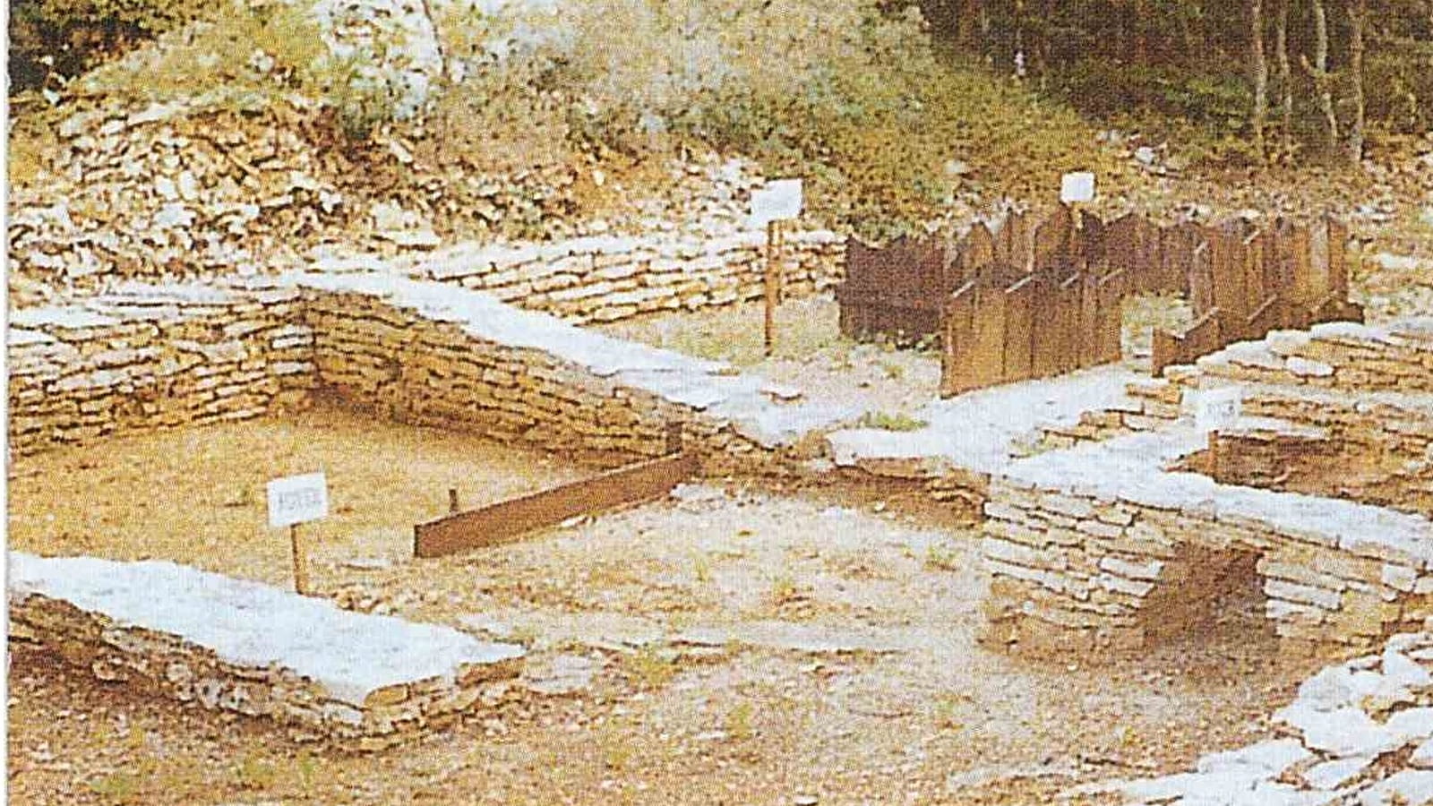 Site gallo-romain de l'Ecartelot