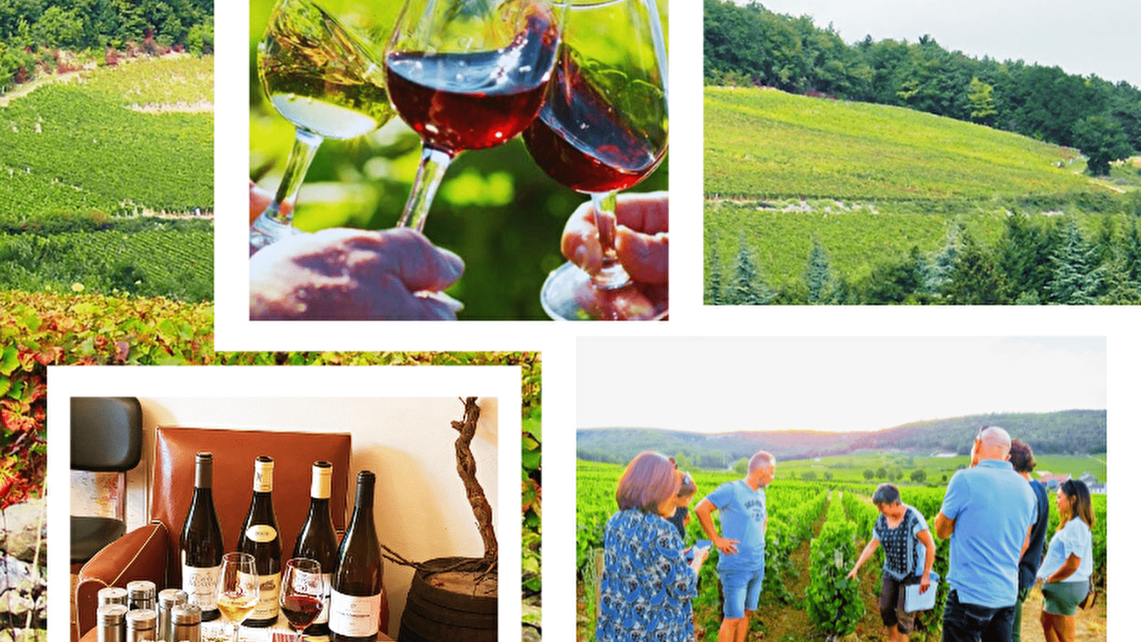 Balade  oeno-sensorielle -découverte  des secrets  vins  de Bourgogne 