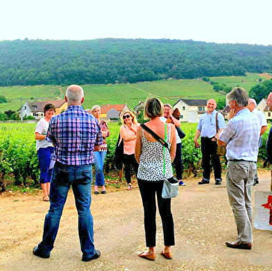 Stage  d'œnologie et dégustation des vins de Bourgogne