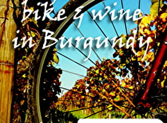 Active Tours : Week-end vélo et vins à Beaune - BEAUNE