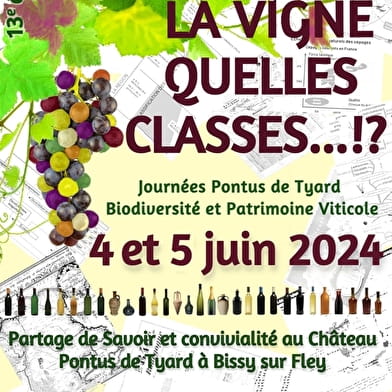 13ème journées biodiversité et patrimoine viticole : Le vin, la vigne, quelles classes...