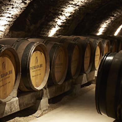 Visite révélations : initiation aux vins de Bourgogne et dégustation dans les caves Patriarche