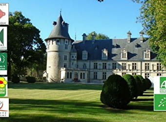 Château de Montigny-sur-Aube - MONTIGNY-SUR-AUBE