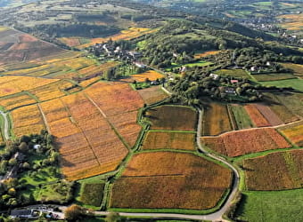 Bourgogne Montgolfière - MOROGES