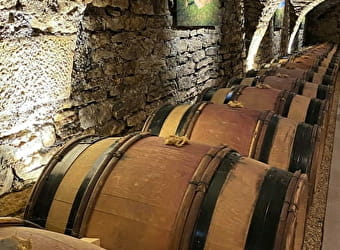 Wine testing et Boogie aux Caves Albert Bichot - BEAUNE