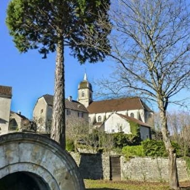 Visite commentee de Scey-sur-Saône-et-Saint-Albin