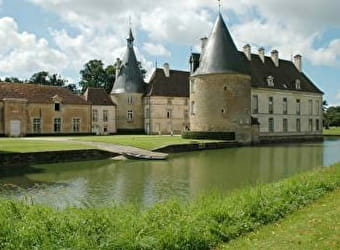 Château de Commarin - COMMARIN