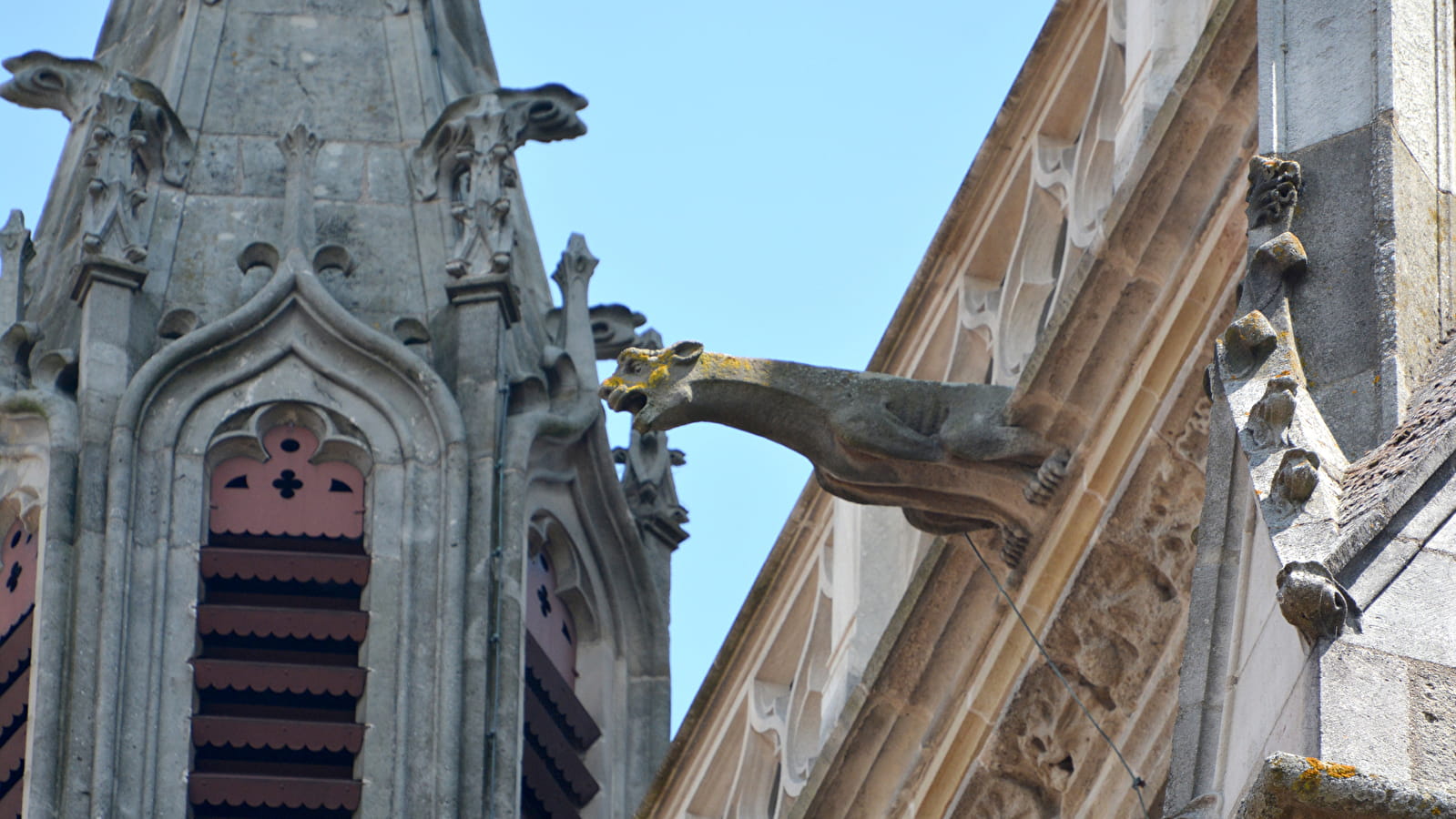 Les animaux fantastiques de la cathédrale Saint-Lazare d'Autun