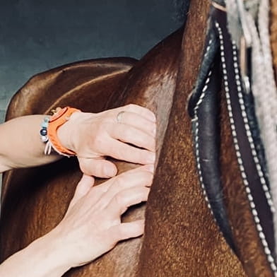 Julie Barioux - Massage cheval Cluny