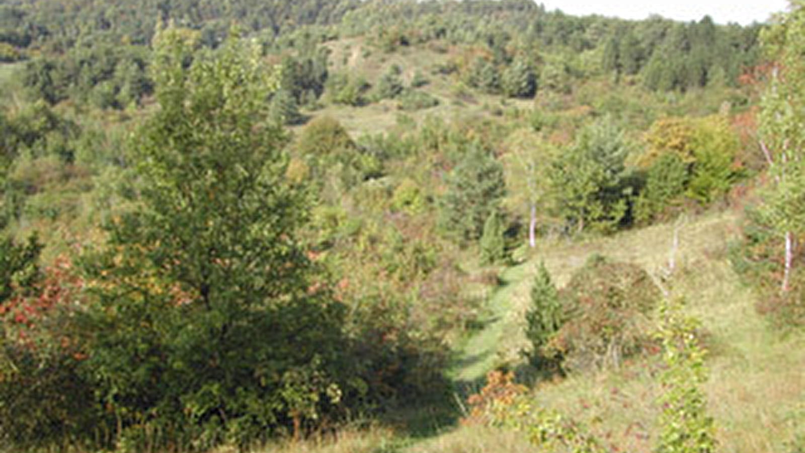Sentier de la nature du Coteau du Chaumois à Parigny-les-Vaux