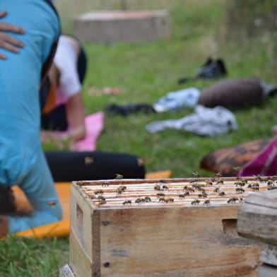 Yoga au son des abeilles