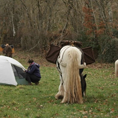 Randonnée - Bivouac de trois jours à pied avec âne, cheval et poney