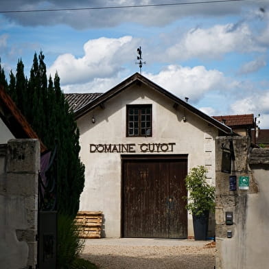 Domaine Baptiste GUYOT : Découverte de nos vins et des caves
