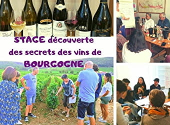 Stage 'découverte des secrets des vins de Bourgogne' - Couchey