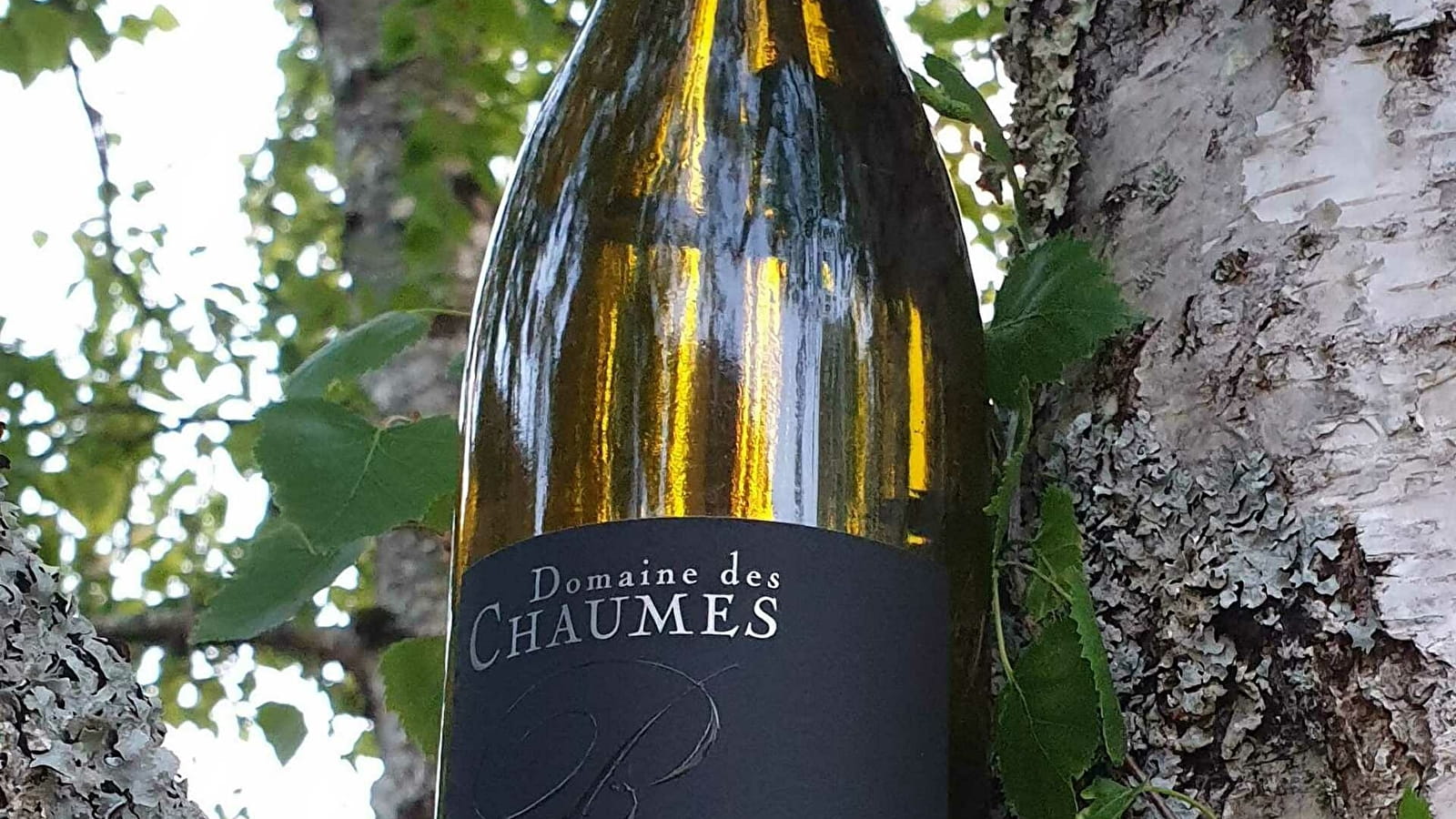 Domaine des Chaumes – Romain Poullet