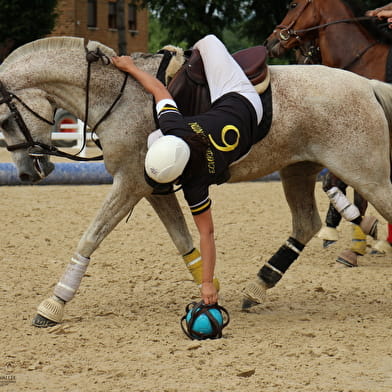 Championnat de France - Horse Ball féminin