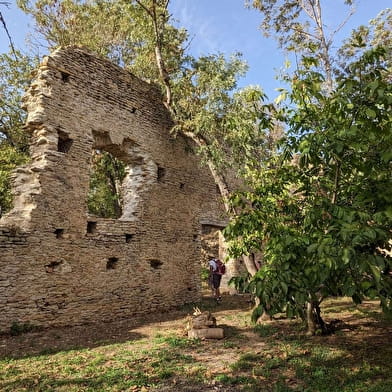 Château de Lourdon