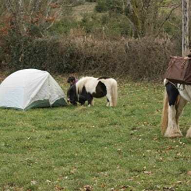 Randonnée - Bivouac de trois jours à pied avec âne, cheval et poney