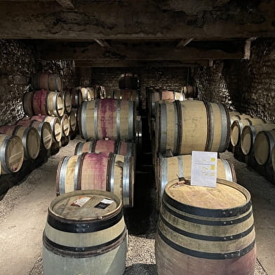 Domaine Baptiste GUYOT : Découverte de nos vins et des caves