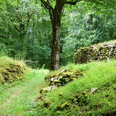 Camp néolithique de la Montagne de la Roche