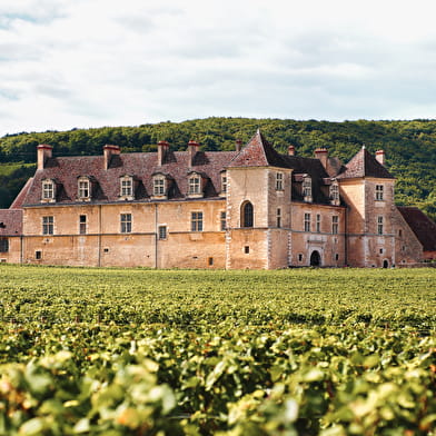 VTT – Route des Vins en Bourgogne