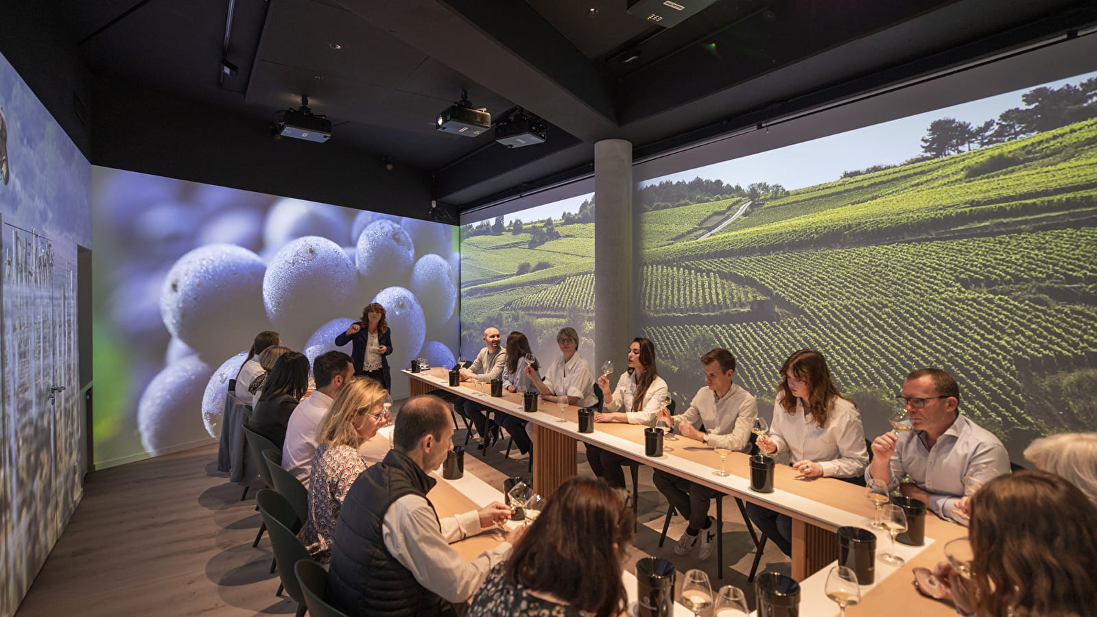 Ecole des Vins - Atelier immersif : Initiation à la dégustation 