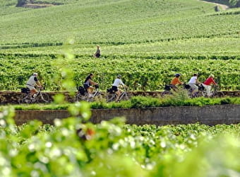 Escapade en Bourgogne à vélo - DIJON