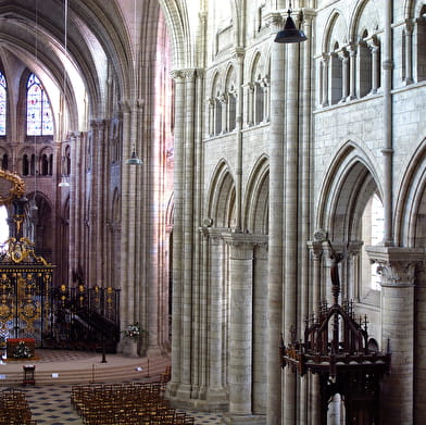 Visite guidée de la cathédrale Saint-Etienne