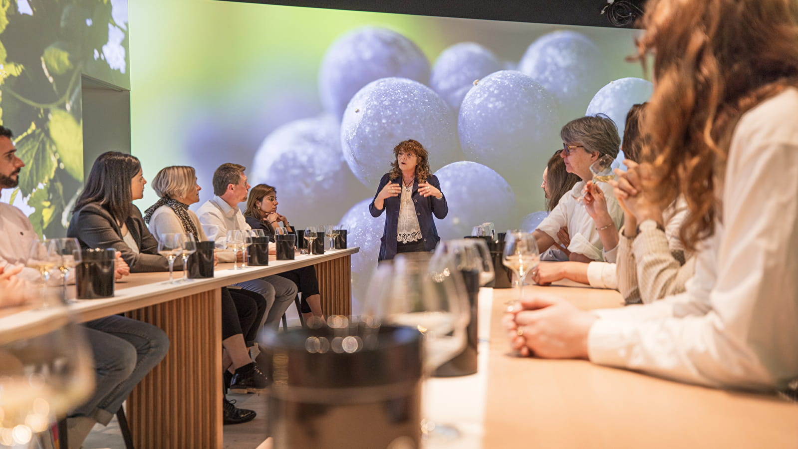 Ecole des vins - Atelier immersif : Accord mets et vins
