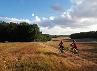 Circuit vélo : les plaines du Donziais à partir de Cosne-Cours-sur-Loire - COSNE-COURS-SUR-LOIRE
