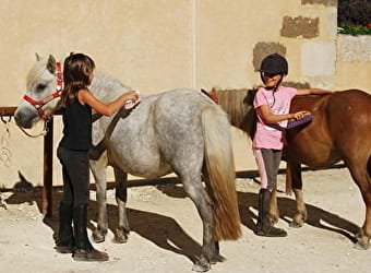 Ferme Equestre Les Grilles - Equitation pour les scolaires - SAINT-FARGEAU