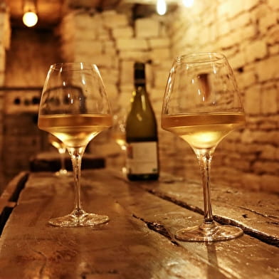 Dégustation découverte vignobles Bourguignon (5 Vins x 5cl) - La Fine Heure