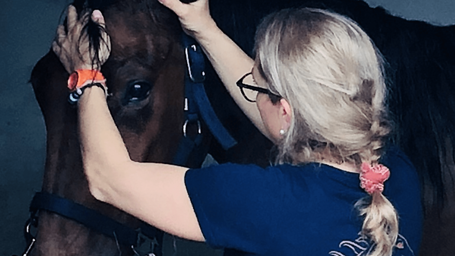 Julie Barioux - Massage cheval Cluny